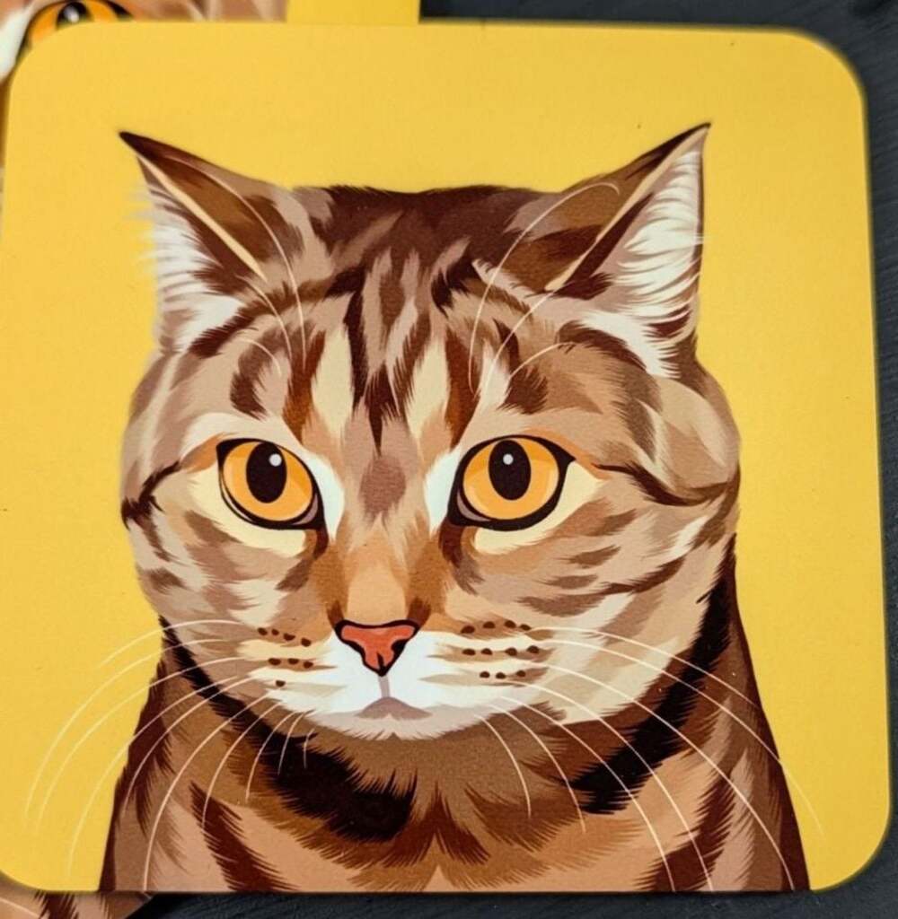 Grey/Brown Tabby Cat Coaster Set